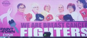 mom-fighter
